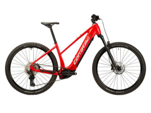 x vert elite sport